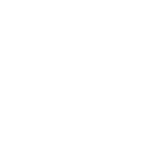 dash advance-image